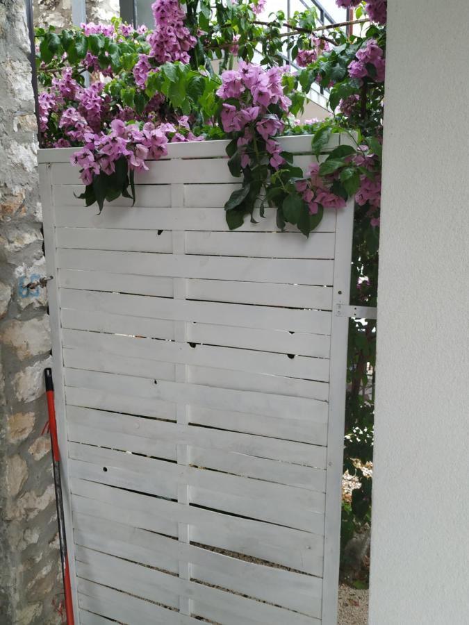 טרוגיר Studio Apartman Violeta II - 50M From The Beach מראה חיצוני תמונה